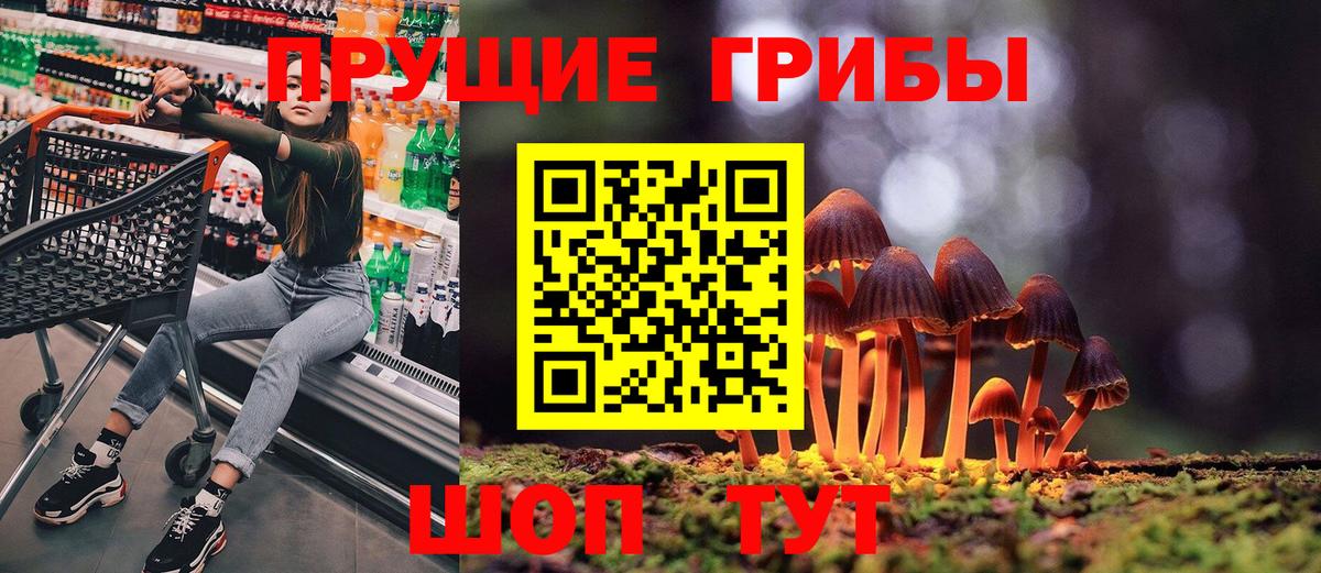 магазин    Галлюциногенные грибы Psilocybine cubensis  Красный Сулин  Вход с VPN  Псилоцибиновые грибы Cubensis 