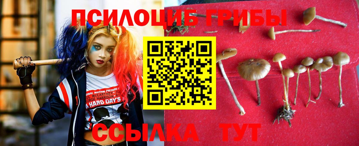 Галлюциногенные грибы Magic Shrooms Красный Сулин