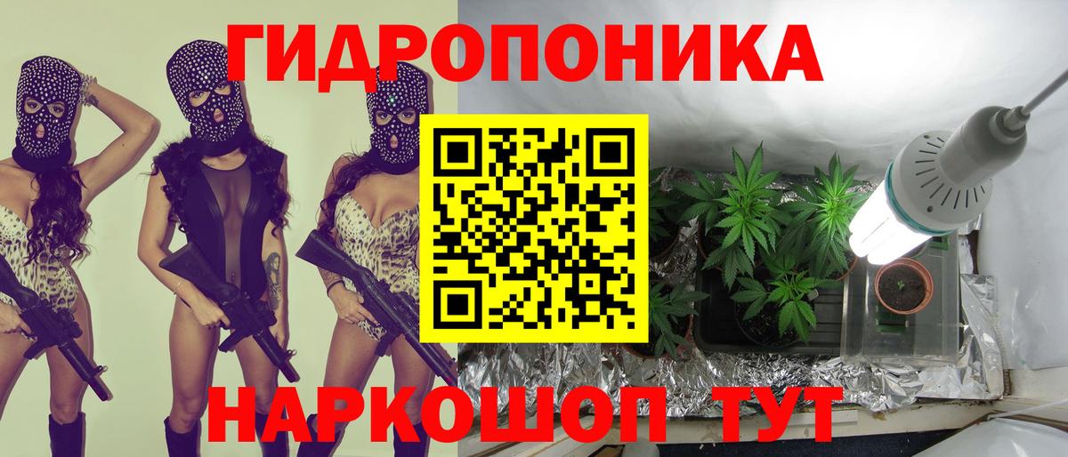Шишки марихуана гибрид  Шишки марихуана семена  Бошки Шишки Amnesia  Вход с VPN  Каннабис VHQ  Красный Сулин 