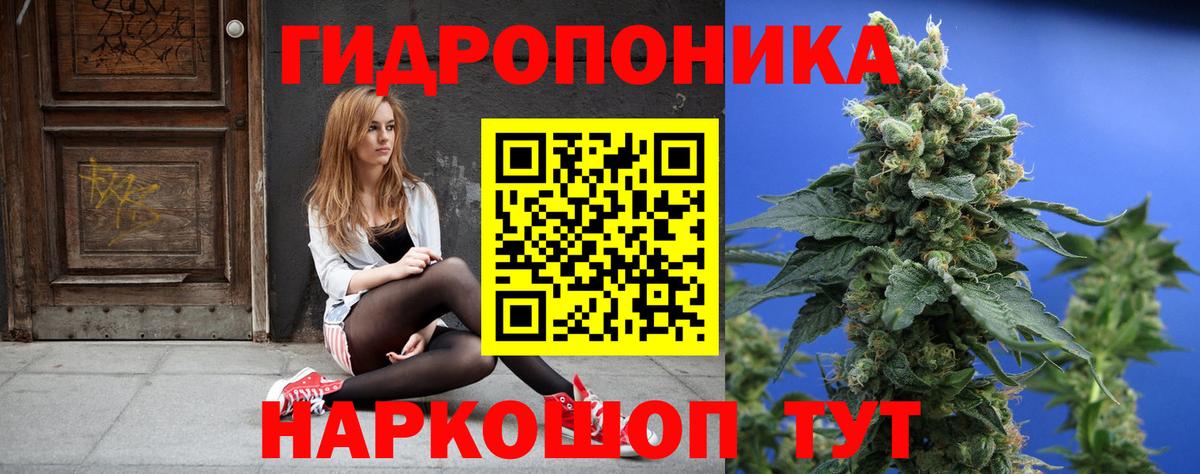 Конопля OG Kush Красный Сулин